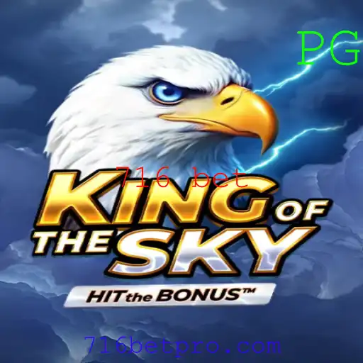 Conheça KingOfTheSky: O Empolgante Mundo do 716 Bet